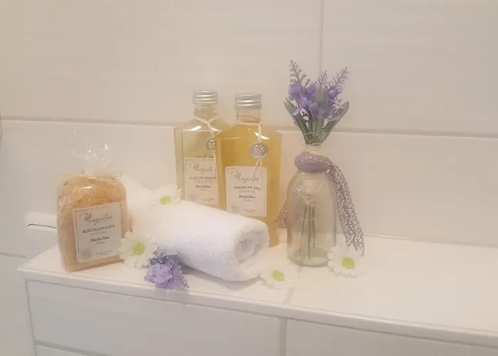 Haus Kuhlmann Altenau (Lower-Saxony)