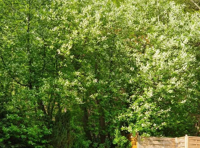 Haus Kuhlmann Altenau